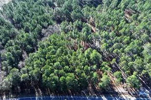 Tbd Stuarts Mill Rd, Fairmont, NC 28340 - Photo 1
