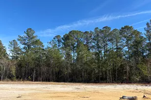 2983 W Timber Crest Dr NE, Leland, NC 28451 - Photo 1