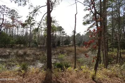 280 Winding Creek Drive, Oriental, NC 28571 - Photo 14