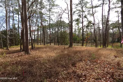 280 Winding Creek Drive, Oriental, NC 28571 - Photo 26