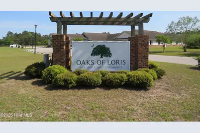 260 Watson Heritage Road, Loris, SC 29569 - Photo 4