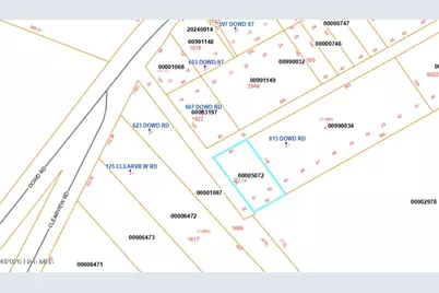 Lot 50/51, Dowd Road, Carthage, NC 28327 - Photo 2