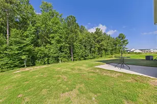110 Symmetry Loo Loop, Youngsville, NC 27596 - Photo 70