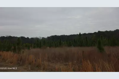 Lot 33 Stuarts Mill Road, Fairmont, NC 28340 - Photo 1