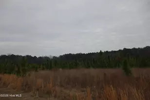 Lot 34 Stuarts Mill Rd, Fairmont, NC 28340 - Photo 1