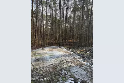 175 Longleaf Drive, West End, NC 27376 - Photo 2