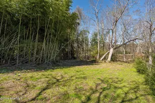 2689 Sloop Point Loop Rd, Hampstead, NC 28443 - Photo 110