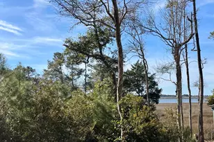 651 Folly Dr SE, Bolivia, NC 28422 - Photo 1