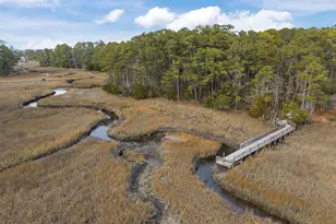 7217 Winding Marsh Ct, Wilmington, NC 28411 - Photo 48