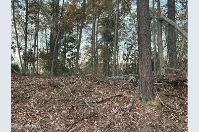 204 Lakeview Drive, Whispering Pines, NC 28327 - Photo 2