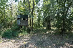 100 Hog Island, New Bern, NC 28560 - Photo 48