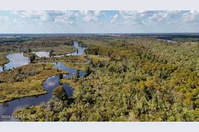100 Hog Island, New Bern, NC 28560 - Photo 62