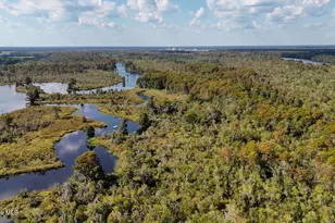 100 Hog Island, New Bern, NC 28560 - Photo 62