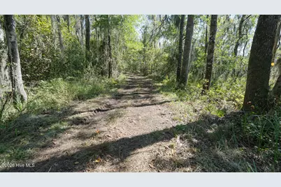 100 Hog Island, New Bern, NC 28560 - Photo 50