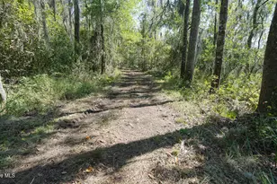 100 Hog Island, New Bern, NC 28560 - Photo 50