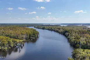 100 Hog Island, New Bern, NC 28560 - Photo 64