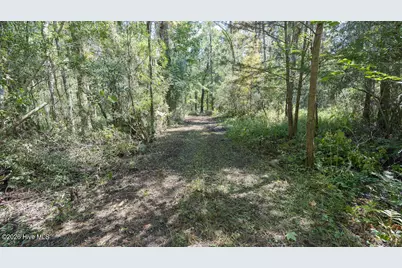 100 Hog Island, New Bern, NC 28560 - Photo 52