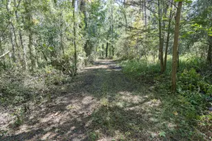 100 Hog Island, New Bern, NC 28560 - Photo 52