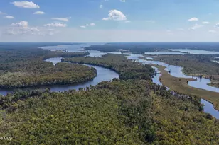 100 Hog Island, New Bern, NC 28560 - Photo 58