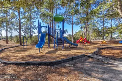 6509 River Vista Drive, Wilmington, NC 28412 - Photo 74