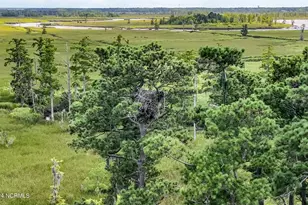 1801 US Hwy 421 N, Wilmington, NC 28401 - Photo 74