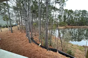 1126 Jordan Lake Ct, Leland, NC 28451 - Photo 20