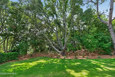 406 Black Diamond Drive, Wilmington, NC 28411 - Photo 44
