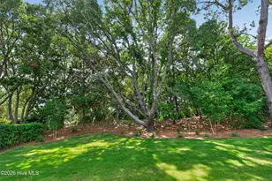 406 Black Diamond Dr, Wilmington, NC 28411 - Photo 44