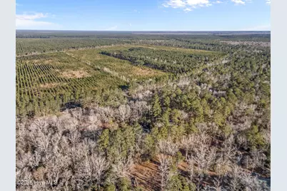 9925 Nc Highway 53 E, Burgaw, NC 28425 - Photo 50
