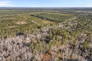 9925 Nc Hwy 53 E, Burgaw, NC 28425 - Photo 50