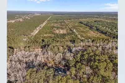 9925 Nc Highway 53 E, Burgaw, NC 28425 - Photo 48