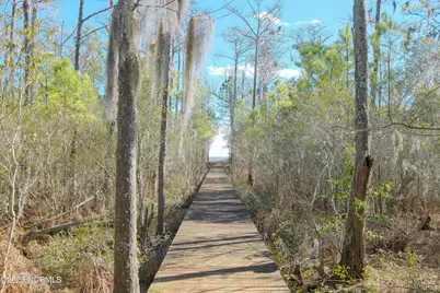 222 Osprey Drive, Edenton, NC 27932 - Photo 6