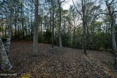 413 River Crest Drive, Shallotte, NC 28470 - Photo 6
