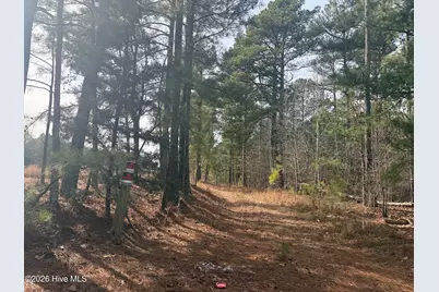 474 Stanton Hill Road, Cameron, NC 28326 - Photo 1