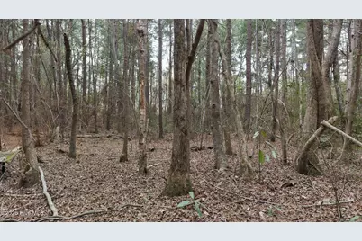 0 Wood Lane, Shannon, NC 28386 - Photo 114