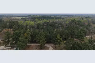 0 Wood Lane, Shannon, NC 28386 - Photo 14