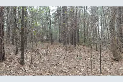 0 Wood Lane, Shannon, NC 28386 - Photo 112