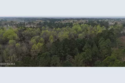 0 Wood Lane, Shannon, NC 28386 - Photo 8