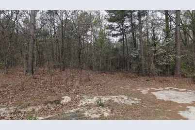 0 Wood Lane, Shannon, NC 28386 - Photo 92