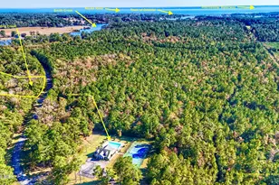 42 Winding Creek Dr, Oriental, NC 28571 - Photo 4