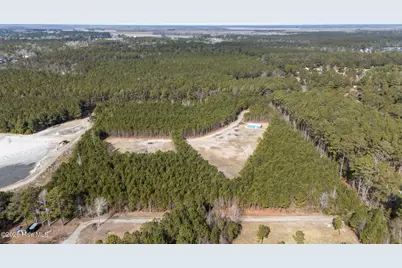 1750 White Farm Road, Oriental, NC 28571 - Photo 10