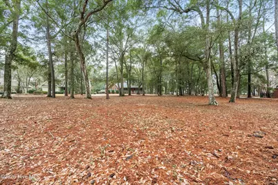 1254 Harbour Gate South SW, Calabash, NC 28467 - Photo 16
