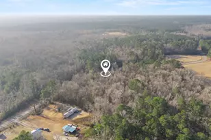 2893 Green Hill Rd NE, Leland, NC 28451 - Photo 38