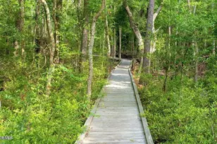 796 Indigo Village Ct, Southport, NC 28461 - Photo 50