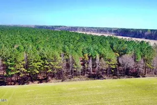 0 Sr 1528, Bath, NC 27808 - Photo 1