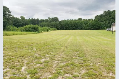 11039 Peacock Road, Chadbourn, NC 28431 - Photo 2