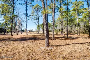 5544 Creek Pointe Rd, New Bern, NC 28560 - Photo 74