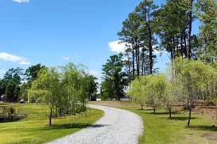 5544 Creek Pointe Rd, New Bern, NC 28560 - Photo 4