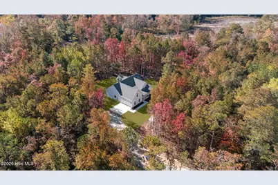 Tbd Doubs Chapel Road Road, West End, NC 27376 - Photo 4
