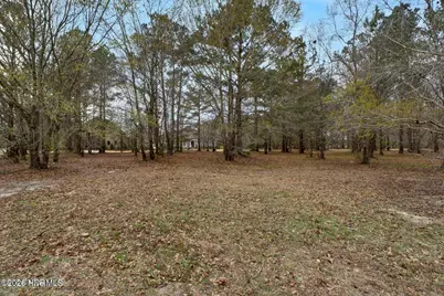 106 Cape Jasmine Lane, Wallace, NC 28466 - Photo 14